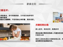 2023增员专题九大人群画像及增员话术21页.pptx