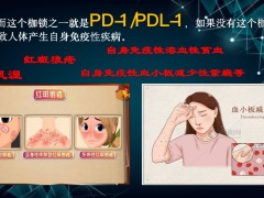 太平人寿PD1免疫疗法畅享顶级医疗服务27页.pptx