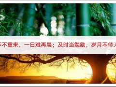 中英人寿福耀未来养老年金保险产品特色投保要素示例功能56页.pptx