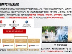 大家保险养老年金大盈之家产品形态案例演示收益解析目标客户56页.pptx