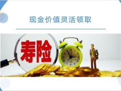 早会专题增额终身寿险几个关键要素21页.pptx