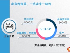 压岁钱的收支情况管理方式产品分析19页.pptx