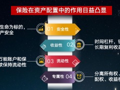 太平人寿国金一号年金中鑫账户解析31页.pptx