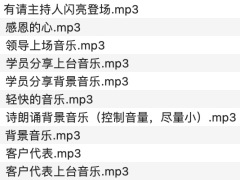 保险公司产品说明会各类音乐包.zip