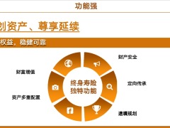 瑞泰瑞享福盈尊享版终身寿险开发背景产品特色 概述案例演示投保规则28页.pptx