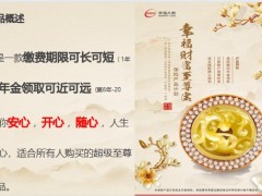 幸福人寿财富至尊宝保险产品计划产品概述形态案例分析投保规则41页.pptx