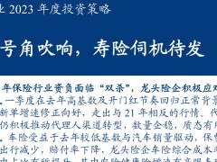 2022年周期号角吹响寿险伺机待发24页.pdf