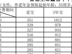 富德生命鑫禧年年养老年金保险基保险金额条款费率.zip