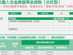 中宏宏盈人生金典版两全保险分红型利益演示表.xlsm