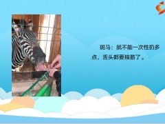 每日快乐早会23年1月26日使用12页.pptx