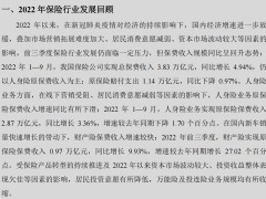 2022年保险行业分析及2023年展望24页.pdf