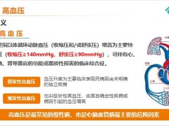 泰康环系统常见疾病核保高血压的冠心病核保评估重疾案例30页.pptx