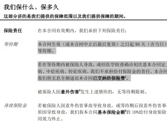 中荷宝贝无忧定期重大疾病保险合同条款费率.zip