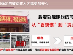 内卷躺平下的无奈两大养老风险变革时代下品质养老目标客户画像19页.pptx