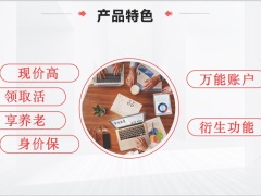 大家人寿大盈之家养老年金产品形态亮点分析36页.pptx