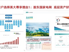 英大尊享保险金信托经典案例解析23页.pptx