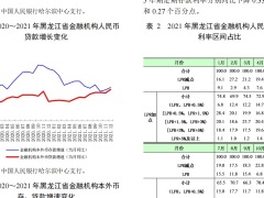 中国人民银行2022黑龙江省金融运行报告19页.pdf