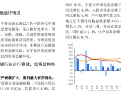 中国人民银行2022宁夏回族自治区金融运行报告19页.pdf