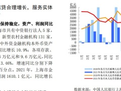 中国人民银行2022上海市金融运行报告19页.pdf