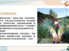 每日健康小小一根葱有7个大作用可惜百分之九十的人都吃错了13页.pptx