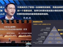民生鑫喜连盛市场分析产品回顾计划书解析49页.pptx