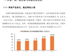 险企布局养老社区研究26页.pdf