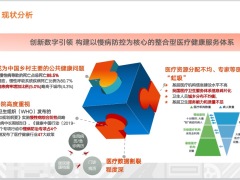 健康医疗大数据整体规划方案传染病监测预警与辅助决策平台77页.pptx