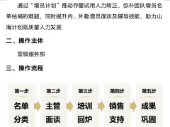 人力发展项目目的操作主体流程手册40页.docx