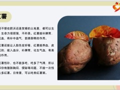 每日健康脾胃不好多吃土脸色不再土8页.pptx