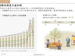 2022智能养老市场洞察报告20页.pdf