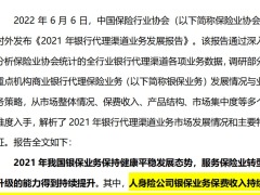 2021年银行代理渠道业务发展报告13页.pdf