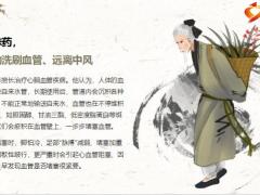 每日健康一味药养血化瘀辅助改善心脑血管问题7页.pptx