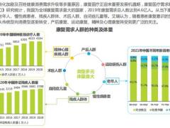 2022年中国康复医疗行业研究报告43页.pdf