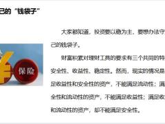 寿险理念配置保险等于做好资产配置平衡19页.pptx