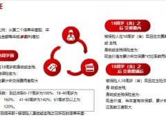 爱心人寿映山红2.0终身寿险开发背景产品形态规则客户利益演示21页.pptx