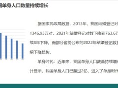 2023年老龄化独居人口持续增长下的养老挑战19页.pptx