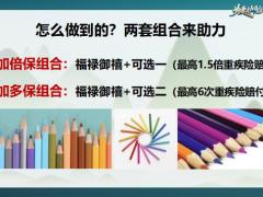 太平人寿我眼中的福禄御禧销售逻辑新人版66页.pptx