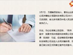 著名企业家冯仑成被执行人涉及金额2857万元12页.pptx