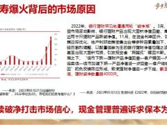 泰康步步高终身寿险审视认识如何销售32页.pptx