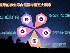创业说明会主讲太平五大要素好行业公司产品服务机遇42页.pptx