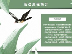 活动流程简介执行保障财务预算效果展望PPT模板25页.pptx