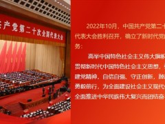 保险行业新时代人力发展启动公司稳定工作努力方向35页.pptx