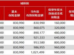 爱心人寿黄金甲终身寿险利益演示书.xlsx