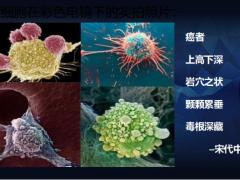 理财产说会主讲新华人寿鑫荣耀终身寿险CART疗法案例演示产品利益57页.pptx