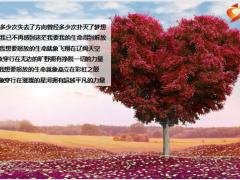 保险公司团队早会保险迎新流程14页.pptx