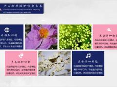 深蓝灰工作概述暨工作计划PPT模板21页.pptx