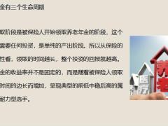 2023选择养老年金的内在原因及分析19页.pptx
