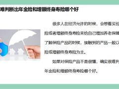 选用年金险及增额终身寿途径养老的注意事项17页.pptx
