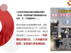三天倒闭两家大银行收割了谁16页.pptx