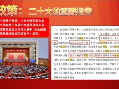 新华人寿鑫荣耀终身寿险政策市场需求收入产品特色案例演示24页.pptx